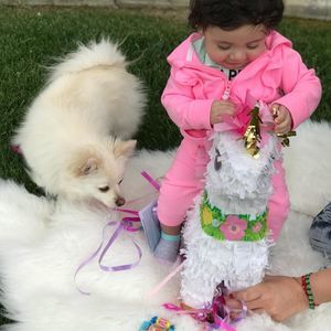 Meet your Posher, Arias